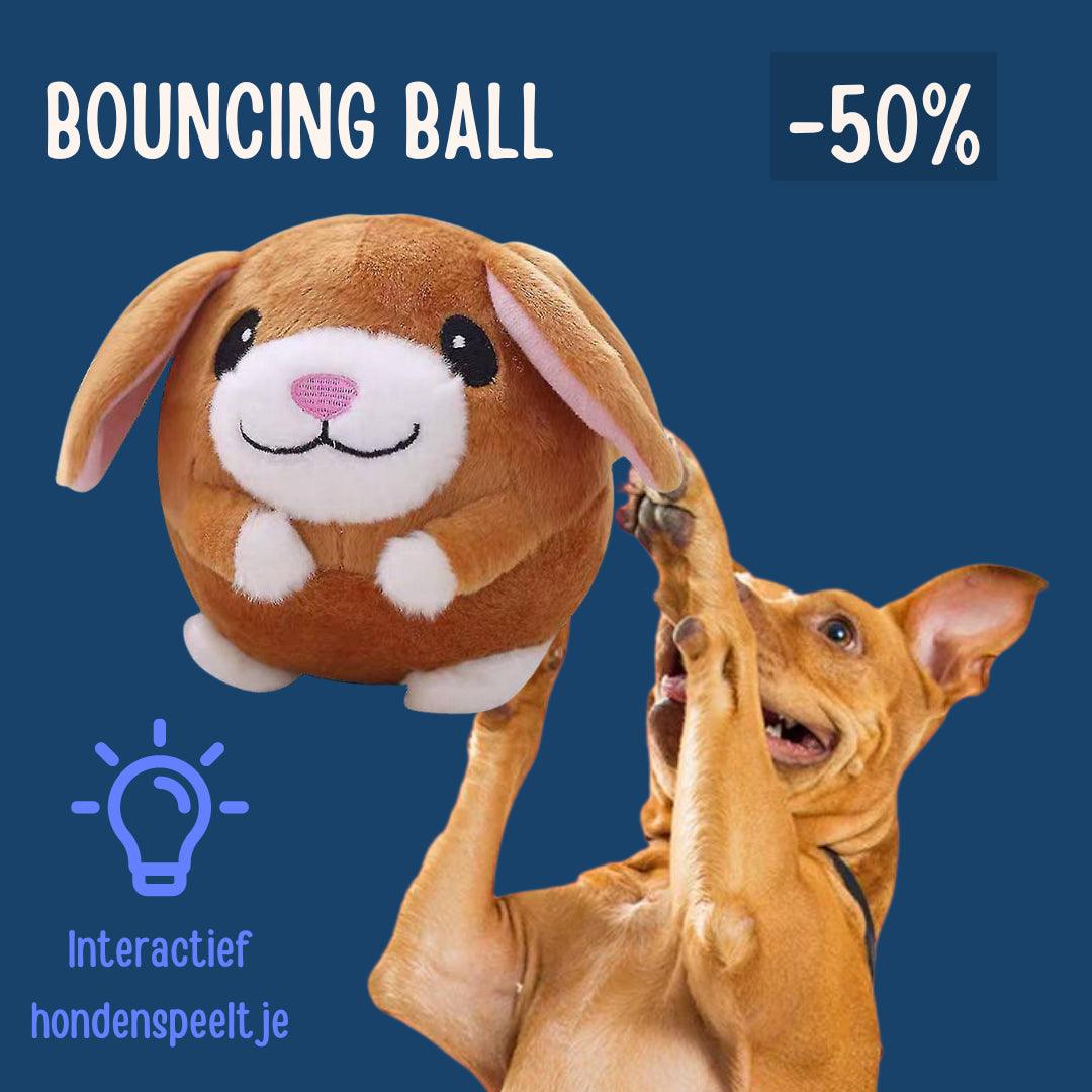 BouncingBall™ | Het interactieve hondenspeeltje - FACCE. Amsterdam