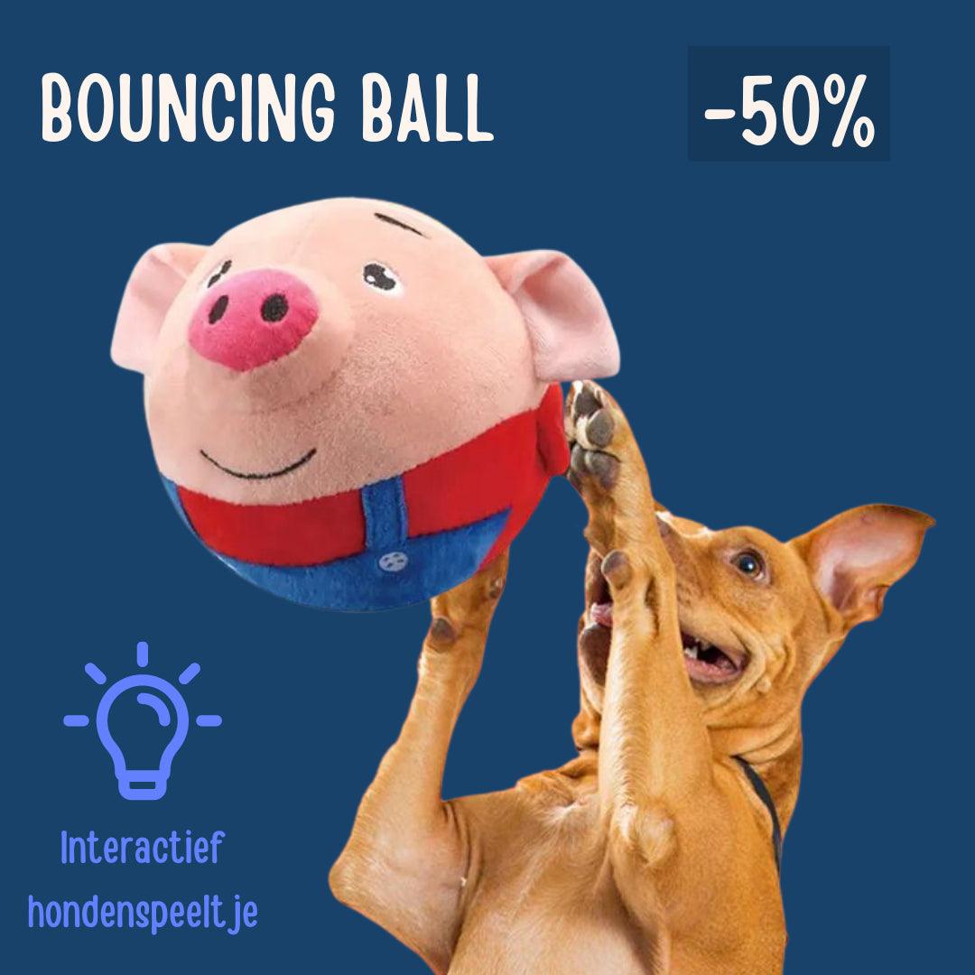 BouncingBall™ | Het interactieve hondenspeeltje - FACCE. Amsterdam